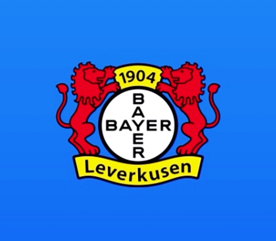 ipad版勒沃库森不败夺冠